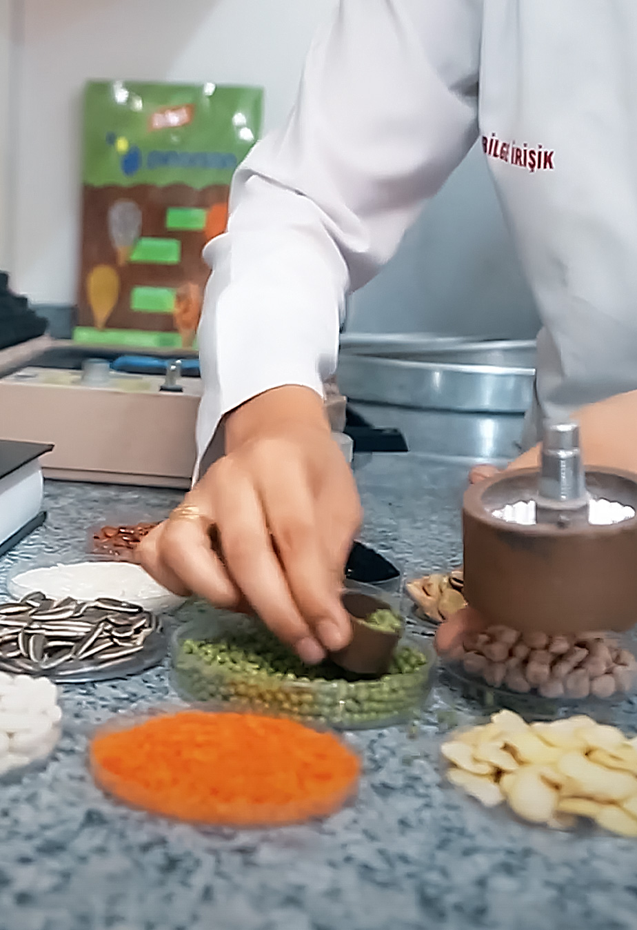 Orisfood_legumes_quality-control